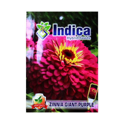 Zinnia Giant Purple Flower Hybrid Seeds (pack of 5)