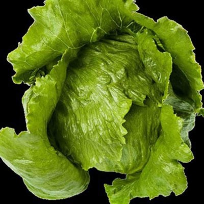 Lettuce Romaine Imported Vegetable Seeds