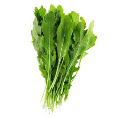Rocket Rucola Leaves Herb Seeds