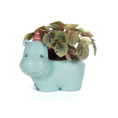 Cute Hippo Animal Planter with Peperomia caperata